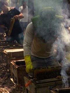 𝐒𝐦𝐚𝐥𝐥 𝐂𝐫𝐞𝐚𝐭𝐮𝐫𝐞𝐬, 𝐆𝐥𝐨𝐛𝐚𝐥 𝐈𝐦𝐩𝐚𝐜𝐭𝐬​
Một thế giới bền vững đôi khi bắt đầu từ những điều rất nhỏ. 
Hơn 70% cây trồng phụ thuộc vào quá trình thụ phấn — và loài ong chính là những “người giữ nhịp” thầm lặng của sự sống.

Trong hành trình tại Green Connect, đội ngũ New World Saigon đã có dịp chạm gần hơn vào hệ sinh thái ấy — nơi ong, gà và con người cùng tồn tại trong một vòng kết nối tự nhiên, chặt chẽ và cân bằng. 

Từ cách ong tìm mật, gà tự do sinh trưởng, đến cách người nông dân tận dụng chất thải hữu cơ để chuẩn bị nguồn thức ăn, mỗi chi tiết đều kể một câu chuyện về sự tôn trọng và đồng hành cùng tự nhiên. 

Với chúng tôi, phát triển bền vững không bắt đầu từ những điều lớn lao, mà từ sự thấu hiểu được nuôi dưỡng mỗi ngày, và lan tỏa thành những trải nghiệm ý nghĩa hơn cho khách hàng.

***
A sustainable world sometimes begins with the smallest things.
Over 70% of crops depend on pollination, and bees are the quiet stewards that sustain this rhythm of life.

During the journey at Green Connect, the New World Saigon team had the opportunity to experience this ecosystem more closely, where bees, chickens, and people coexist within a natural, balanced cycle. 

From the way bees gather nectar, to chickens roaming freely, to how organic waste is repurposed into feed, each detail tells a story of respect and harmony with nature.

For us, sustainability does not begin with grand gestures, but with understanding nurtured over time, and shared through more meaningful experiences for our guests.

#NewWorldSaigon #NewWorldDoGoodSeries #RosewoodSustains #EarthDay #ThePowerofLocal​